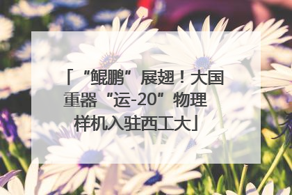“鲲鹏”展翅！大国重器“运-20”物理样机入驻西工大