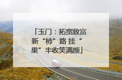 玉门：拓宽致富新“柿”路 挂“果”丰收笑满颜