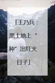 王乃兵：黑土地上“种”出红火日子