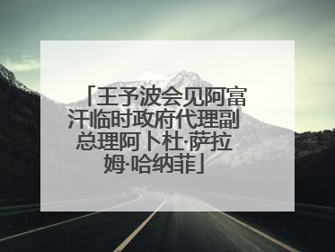 王予波会见阿富汗临时政府代理副总理阿卜杜·萨拉姆·哈纳菲