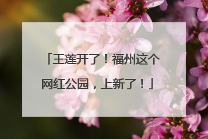 王莲开了！福州这个网红公园，上新了！