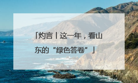 灼言丨这一年，看山东的“绿色答卷”