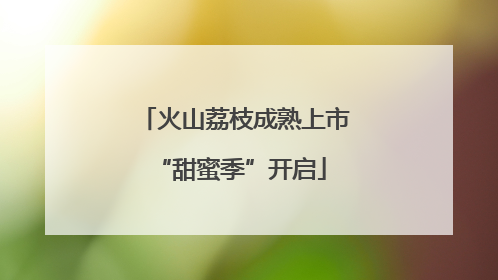火山荔枝成熟上市 “甜蜜季”开启