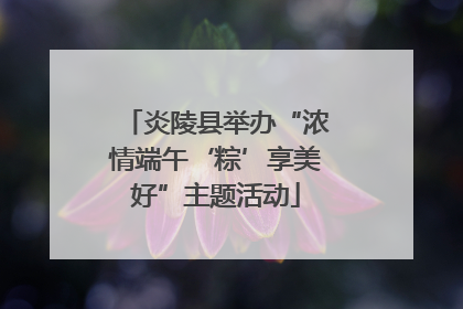炎陵县举办“浓情端午‘粽’享美好”主题活动