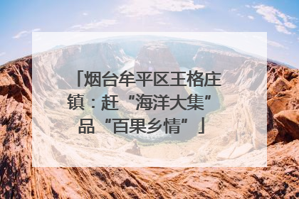 烟台牟平区王格庄镇：赶“海洋大集” 品“百果乡情”