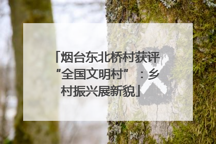 烟台东北桥村获评“全国文明村”：乡村振兴展新貌