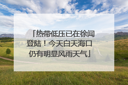 热带低压已在徐闻登陆！今天白天海口仍有明显风雨天气