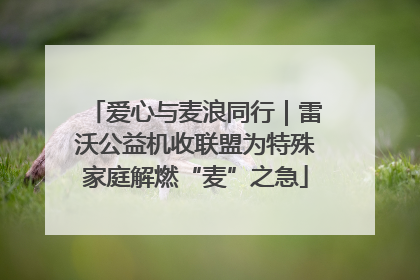 爱心与麦浪同行｜雷沃公益机收联盟为特殊家庭解燃“麦”之急