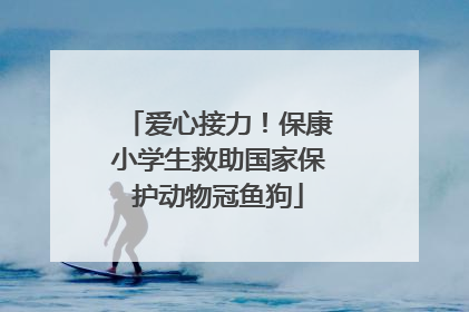 爱心接力！保康小学生救助国家保护动物冠鱼狗