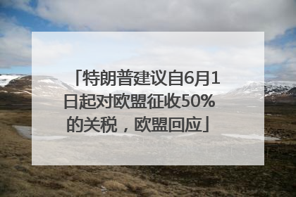 特朗普建议自6月1日起对欧盟征收50%的关税，欧盟回应