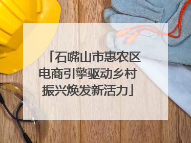 石嘴山市惠农区电商引擎驱动乡村振兴焕发新活力