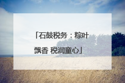 石鼓税务：粽叶飘香 税润童心