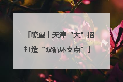 瞭望丨天津“大”招打造“双循环支点”