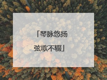 琴脉悠扬 弦歌不辍