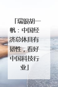 瑞银胡一帆：中国经济总体具有韧性，看好中国科技行业