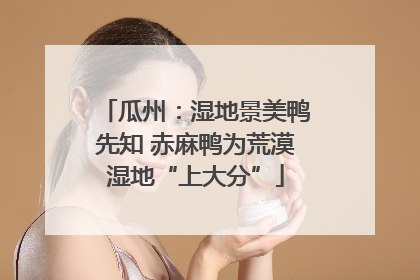 瓜州：湿地景美鸭先知 赤麻鸭为荒漠湿地“上大分”