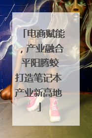 电商赋能，产业融合 平阳腾蛟打造笔记本产业新高地