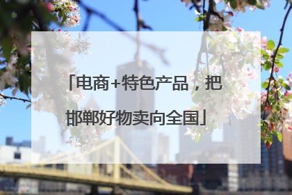 电商+特色产品，把邯郸好物卖向全国
