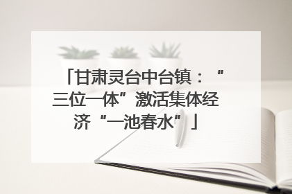 甘肃灵台中台镇：“三位一体”激活集体经济“一池春水”