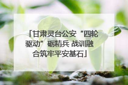 甘肃灵台公安“四轮驱动”砺精兵 战训融合筑牢平安基石