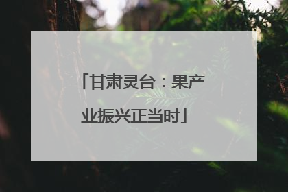 甘肃灵台：果产业振兴正当时