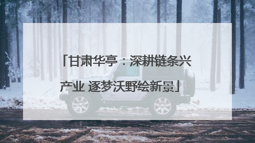 甘肃华亭：深耕链条兴产业 逐梦沃野绘新景