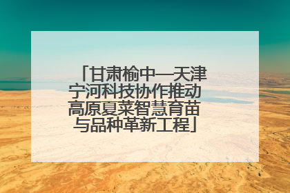 甘肃榆中—天津宁河科技协作推动高原夏菜智慧育苗与品种革新工程