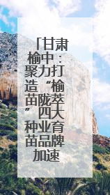 甘肃榆中：聚力打造“榆苗陇萃”四大种业育苗品牌 加速农业强县转型步伐