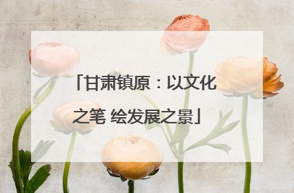 甘肃镇原：以文化之笔 绘发展之景