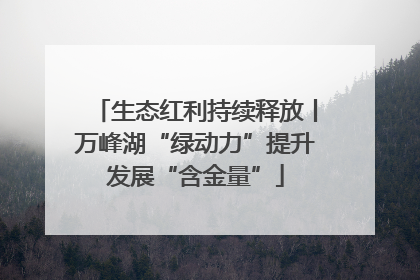 生态红利持续释放丨万峰湖“绿动力”提升发展“含金量”