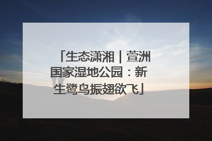 生态潇湘｜萱洲国家湿地公园：新生鹭鸟振翅欲飞