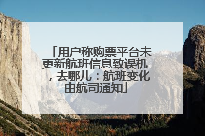 用户称购票平台未更新航班信息致误机，去哪儿：航班变化由航司通知
