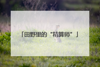 田野里的“精算师”