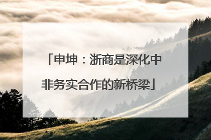申坤：浙商是深化中非务实合作的新桥梁