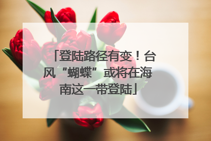 登陆路径有变！台风“蝴蝶”或将在海南这一带登陆