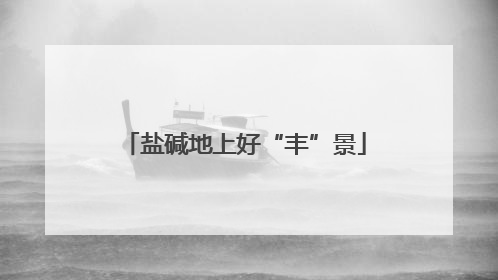 盐碱地上好“丰”景