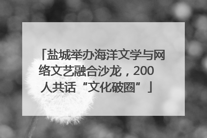 盐城举办海洋文学与网络文艺融合沙龙，200人共话“文化破圈”