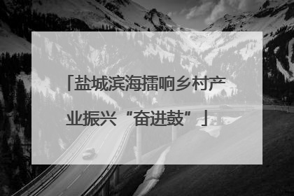 盐城滨海擂响乡村产业振兴“奋进鼓”