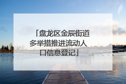 盘龙区金辰街道多举措推进流动人口信息登记
