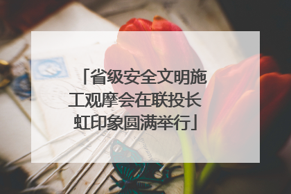 省级安全文明施工观摩会在联投长虹印象圆满举行