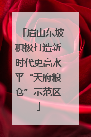 眉山东坡积极打造新时代更高水平“天府粮仓”示范区