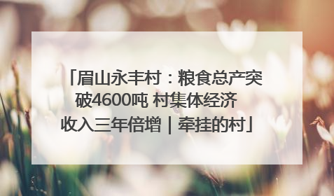 眉山永丰村：粮食总产突破4600吨 村集体经济收入三年倍增｜牵挂的村