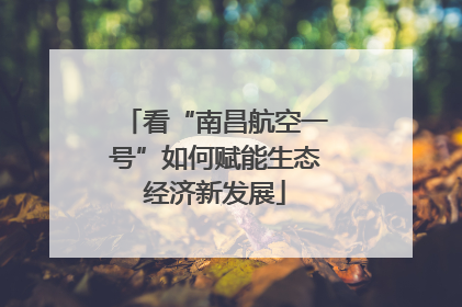 看“南昌航空一号”如何赋能生态经济新发展