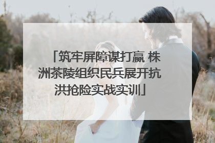 筑牢屏障谋打赢 株洲茶陵组织民兵展开抗洪抢险实战实训