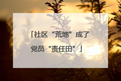 社区“荒地”成了党员“责任田”