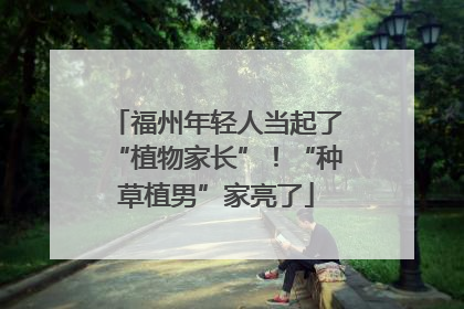 福州年轻人当起了“植物家长”！“种草植男”家亮了