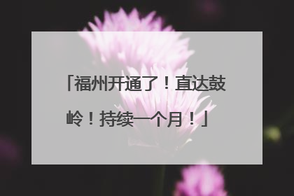 福州开通了！直达鼓岭！持续一个月！