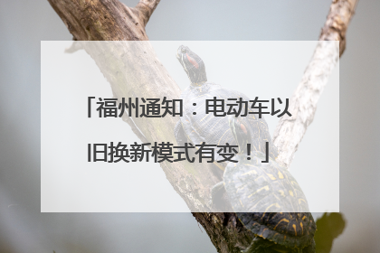 福州通知：电动车以旧换新模式有变！