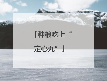 种粮吃上“定心丸”