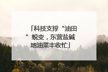 科技支撑“油田”蜕变，东营盐碱地油菜丰收忙